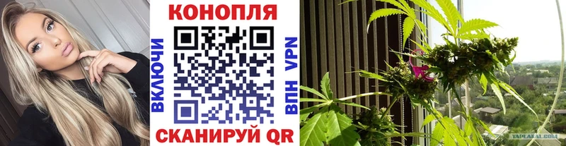 Бошки марихуана AK-47  Белокуриха 
